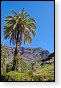 gran canaria spanje Degollada de las Yeguas eiland canarische Eilanden las palmas maspalomas puerto de mogan strand Fuente de Los Azulejos Aguimes la Aldea las nieves tenerife teror
